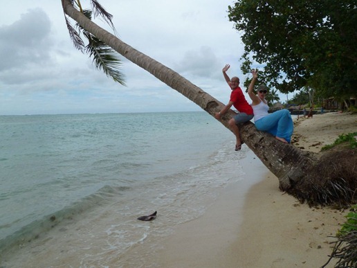 P1030109_121 P1030109_121