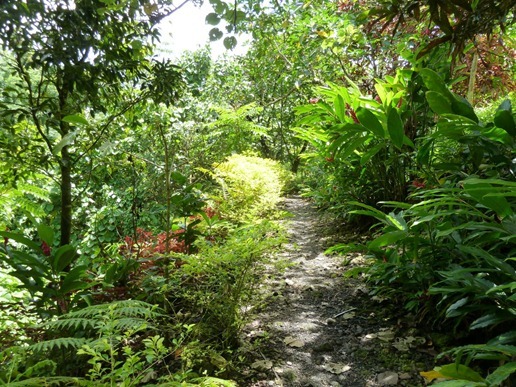 P1030129_140 P1030129_140