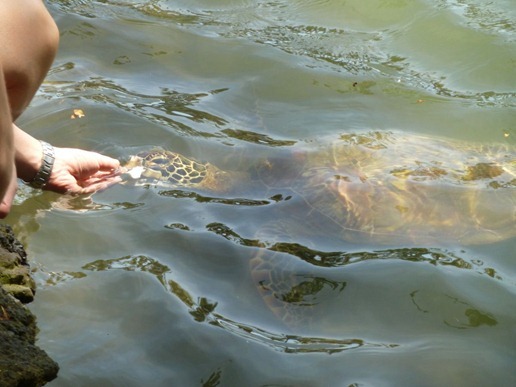 P1030043_057 P1030043_057