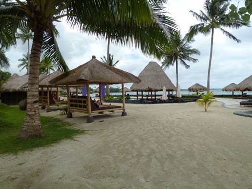 P1030098_110 P1030098_110