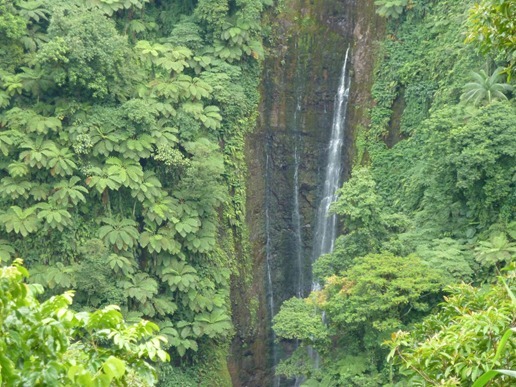 P1030084_096 P1030084_096